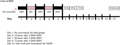 Delayed Cutaneous Microvascular Responses With Non-consecutive 3 Days of Remote Ischemic Preconditioning